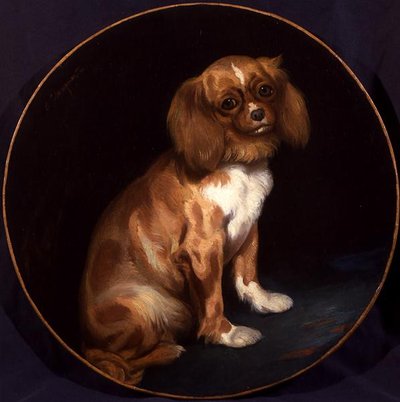 En King Charles Spaniel af Charles Emile Callande de Champmartin
