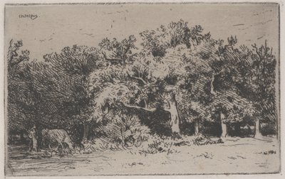 Et hjørne af skoven Fontainebleau (radering) af Charles Emile Jacque