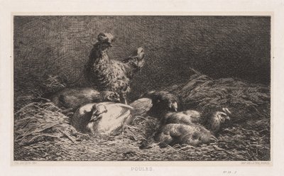 Høns af Charles Emile Jacque