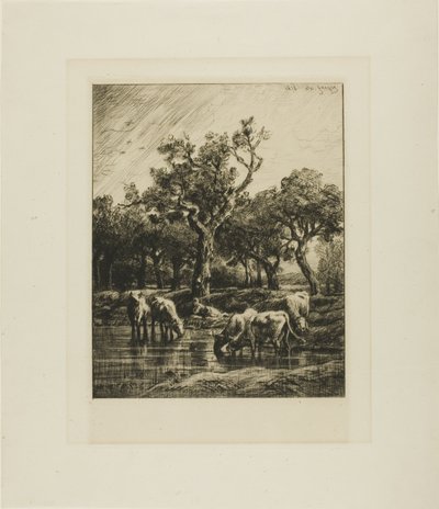 Køer på et vandingssted af Charles Emile Jacque