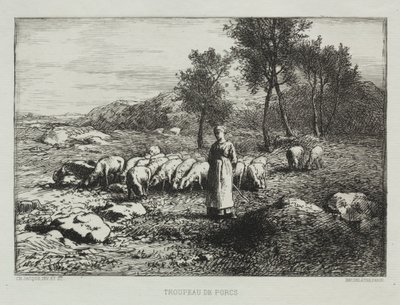 Svineflokke af Charles Emile Jacque