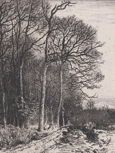 Edge of the Wood, 1846. af Charles Emile Jacque
