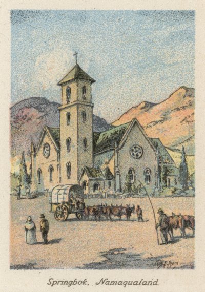 Sydafrika: Springbuk, Namaqualand (farvelitografi) af Charles Ernest Peers