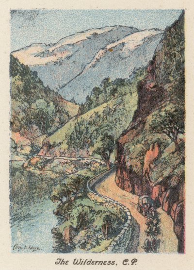 Sydafrika: The Wilderness, CP (farvelitografi) af Charles Ernest Peers
