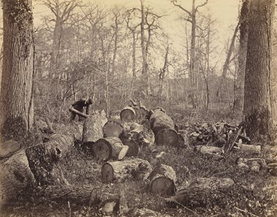 Fontainebleau Skov af Charles Famin