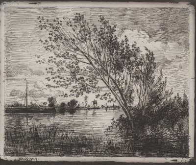A Cluster of Alders, originalt aftryk 1862, trykt i 1921. af Charles Francois Daubigny