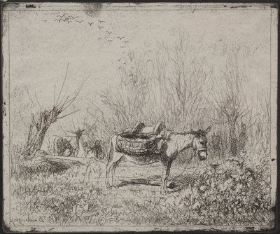 Et æsel i marken, originalt aftryk 1862, trykt i 1921. af Charles Francois Daubigny