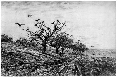 Kragetræ, 1840-1875, 1924 af Charles Francois Daubigny