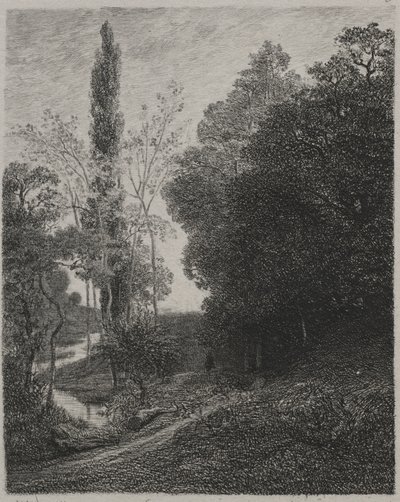 Banks of the River Cousin, 1850. af Charles Francois Daubigny