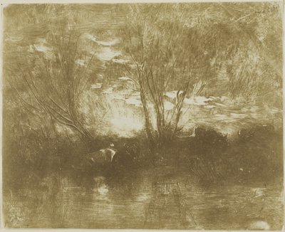 Køer ved Vandingspladsen af Charles Francois Daubigny
