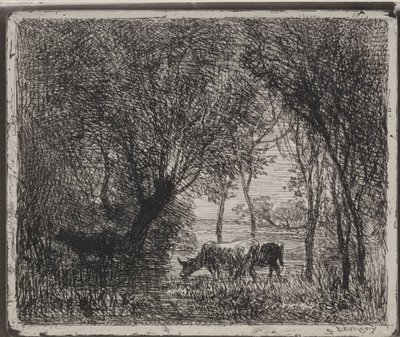 Køer i skoven, originalt aftryk 1862, trykt i 1921. af Charles Francois Daubigny