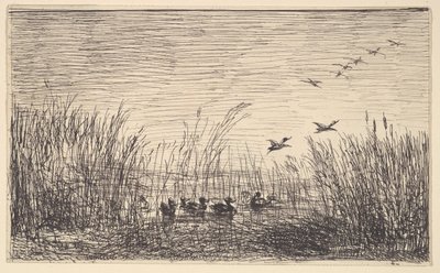 Ducks in the Marshes, [1862], genoptrykt 1921. af Charles Francois Daubigny