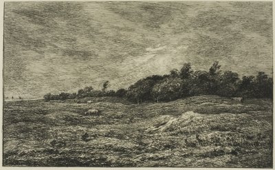 Pre des Graves i Villerville (Calvados) af Charles Francois Daubigny