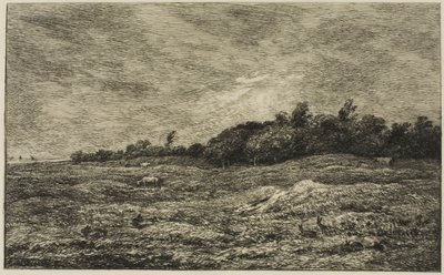 Pre des Graves i Villerville (Calvados) af Charles Francois Daubigny