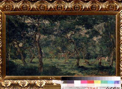 ""Olivenlunden"" (Oliveplantage) Maleri af Charles Francois Daubigny (1817-1878) 1870-1873 Pushkin Museum, Moskva af Charles Francois Daubigny