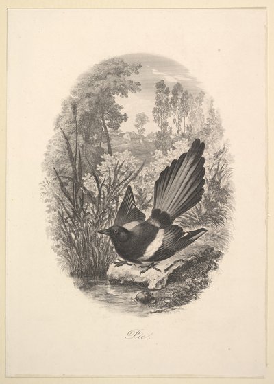 Magpie, 1843. af Charles Francois Daubigny