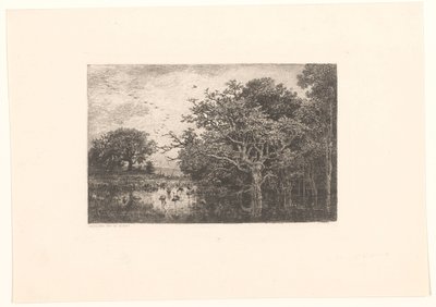 Moeras mødte ooievaars Storkemarsken af Charles Francois Daubigny