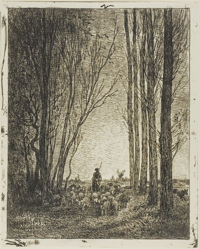 Flokkens tilbagevenden af Charles Francois Daubigny