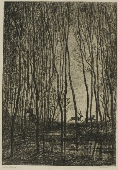 Hjorte i skoven af Charles Francois Daubigny