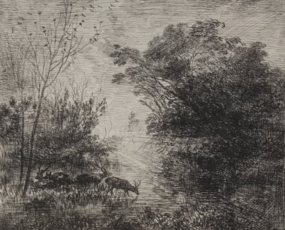 Hjorte, originalt aftryk 1862, trykt i 1921. af Charles Francois Daubigny