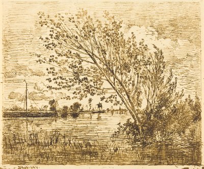 Stand of Alders af Charles Francois Daubigny