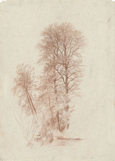 Undersøgelse af to slanke og nogle mindre træer i blade af Charles Francois Daubigny