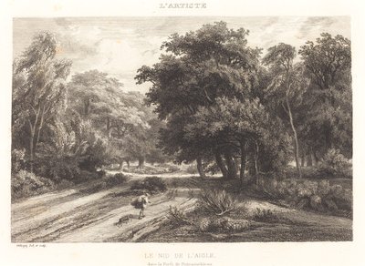 Ørnereden i skoven Fontainebleau (Le nid de l