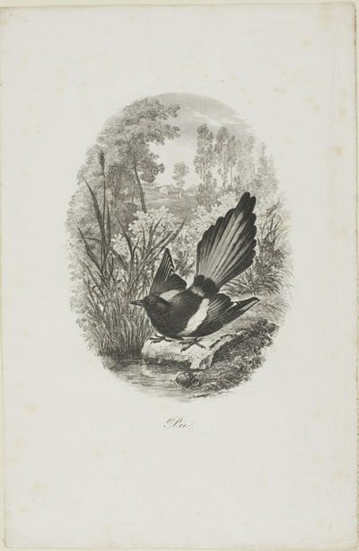 Skaden af Charles Francois Daubigny