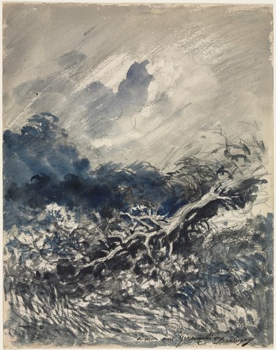 Egetræet og røret af Charles Francois Daubigny