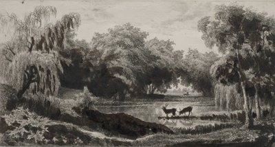 Poolen med hjorte, 1845. af Charles Francois Daubigny