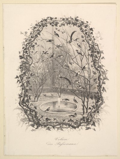 Sparrow Aviary, 1843. af Charles Francois Daubigny