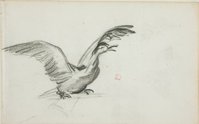 Vild duet (recto); To stående nøgne kvindefigurer i nicher (verso) af Charles Francois Daubigny