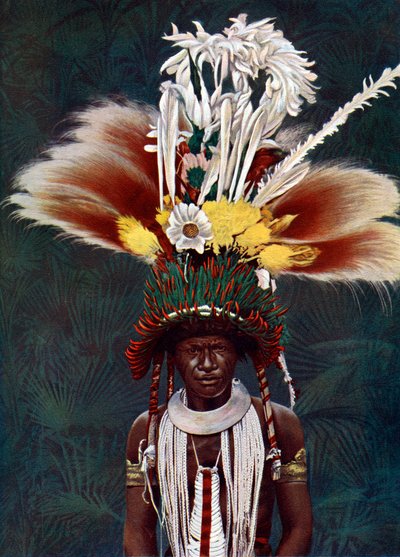 En Roro-høvding klædt på til en ceremoniel dans, Papua Ny Guinea, 1920. af Charles Gabriel Seligman