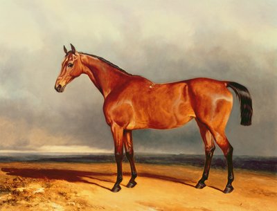 Bugtjægeren af Charles Hancock