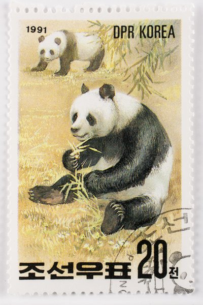 Frimærke/Nordkorea/Ailuropoda melanoleuca/Grand panda/Giant Panda af Augustus Kollner