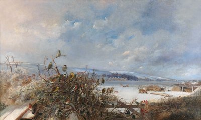 Fugle af en fjer af Charles Henry Clifford Baldwyn
