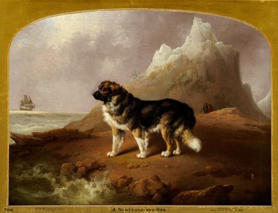 En Newfoundlandshund af Charles Henry Schwanfelder