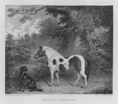 Skønhed og generelt (gravering) af Charles Henry Schwanfelder