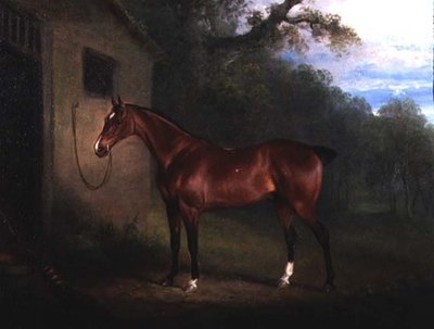Portræt af en Bay Hunter bundet til en stald af Charles Henry Schwanfelder
