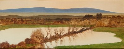 Solnedgang over en dam (olie om bord) af Charles Hutton Lear