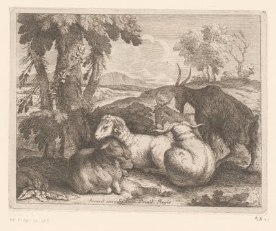 Får og geder under et træ Dyreserie (serietitel) af Charles II Errard (attributed to)
