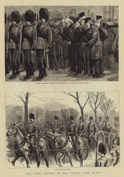 Den kongelige anmeldelse af tropperne fra Egypten af Charles J. Staniland