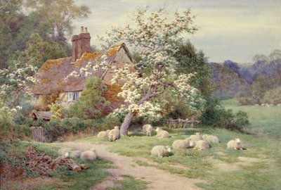 Får uden for et sommerhus i foråret af Charles James Adams