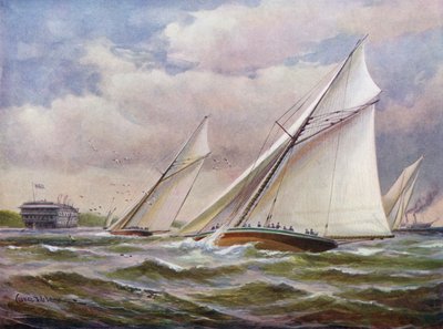Hvide vinger af Charles John de Lacy