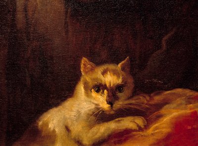 Mademoiselle de Charolais Detalje, der repræsenterer katten. Maleri af Charles Joseph Natoire (Charles-Joseph Natoire af Charles Joseph Natoire