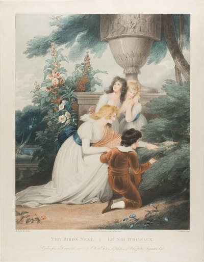 Fuglereden af Charles Knight