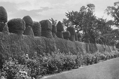 Fulford Hall: Excentrisk topiært arbejde af Charles Latham