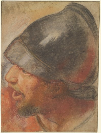 Kopf eines makedonischen Soldaten af Charles Le Brun
