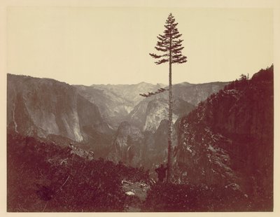 Yosemite Valley fra Mariposa Trail, ca. 1865. af Charles Leander Weed
