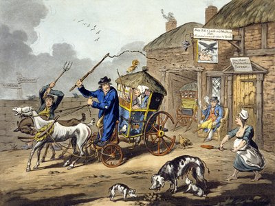 Udstationering i Irland af Charles Lorraine Smith
